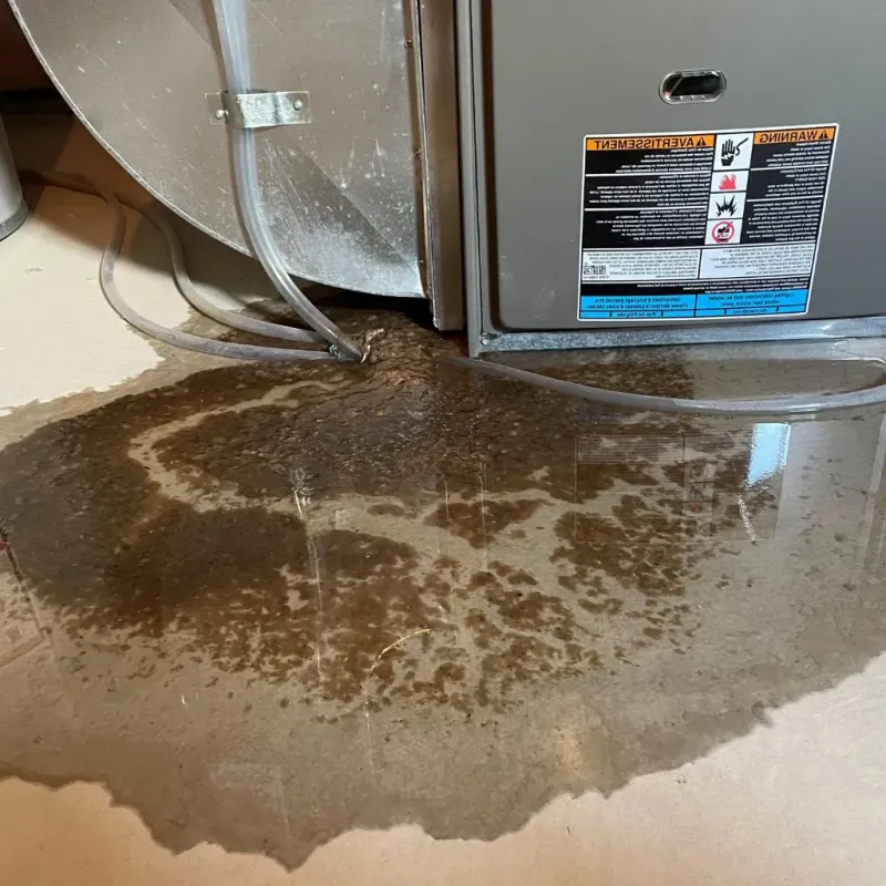 Pipe Burst and Leak Restoration in Stone County, MS