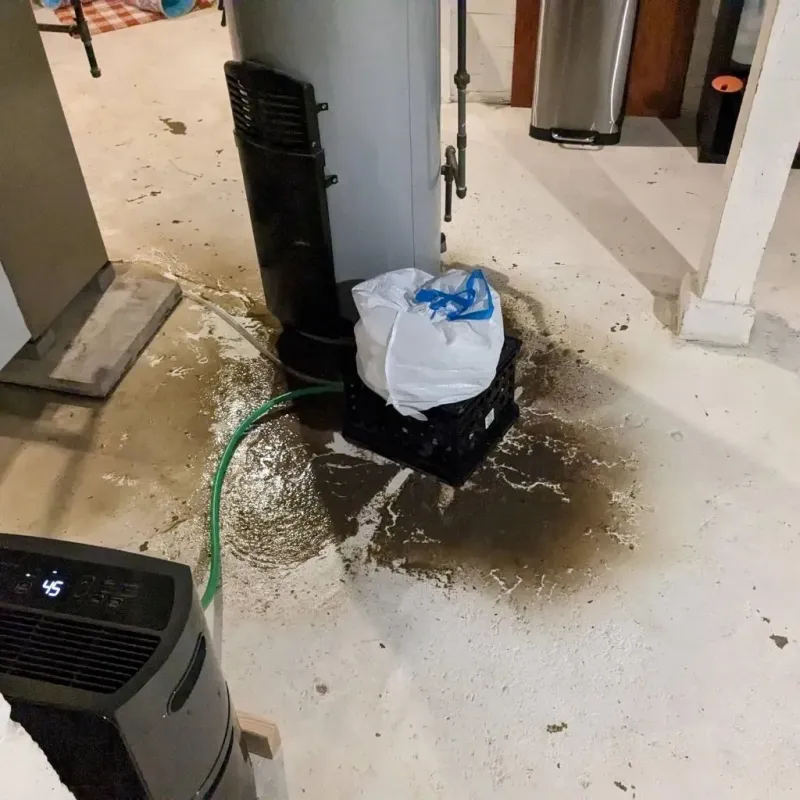 Sewage Backup Cleanup Service in Stone County, MS
